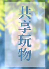 共享玩物(n)笔趣阁无弹